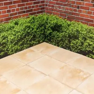 450 X 450MM ASHFORD PAVING RIVEN BUFF